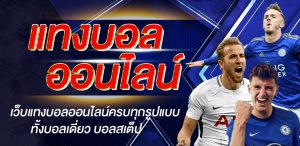 เว็บพนันบอลดีที่สุด-betflixgo88