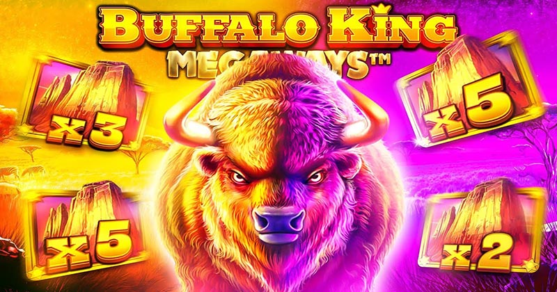 Buffalo King 