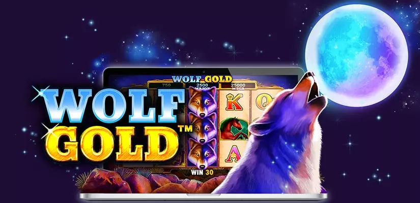 Wolf Gold1