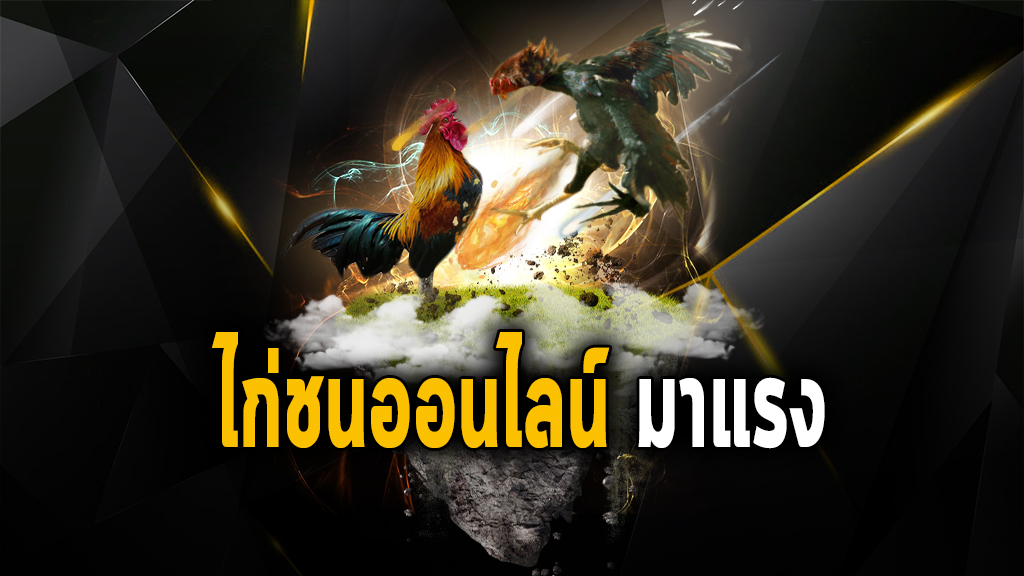 เกมไก่ชน-"cockfighting game"