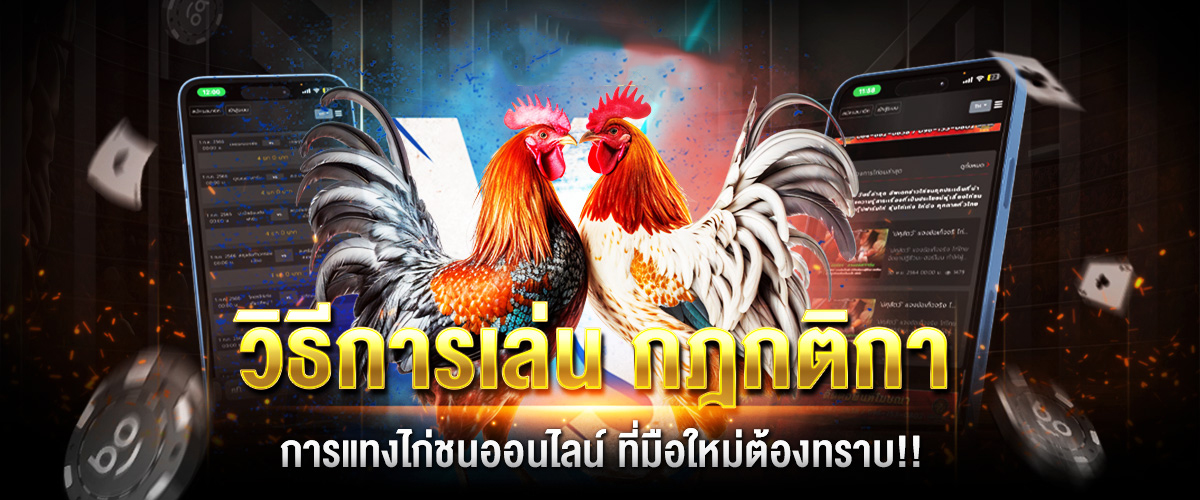 เกมไก่ชนออนไลน์-"online cockfighting game"