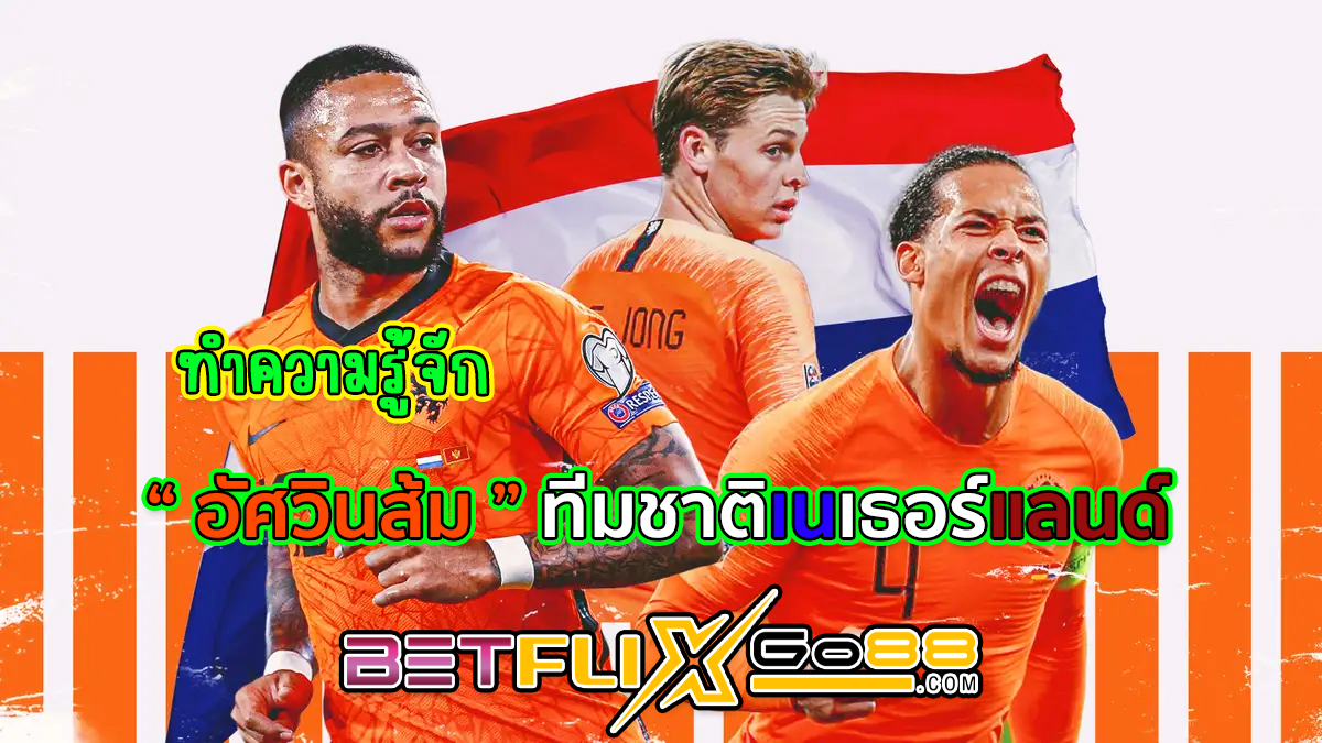 ฟุตบอลทีมชาติเนเธอร์แลนด์ - betflixgo88.com