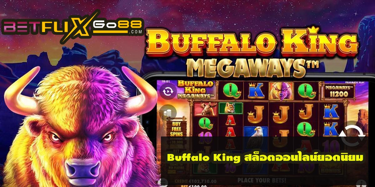 Buffalo King